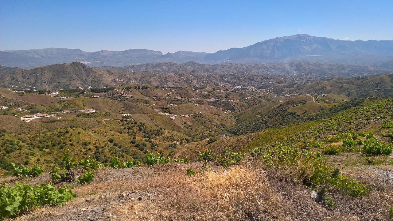 vignoble espagne