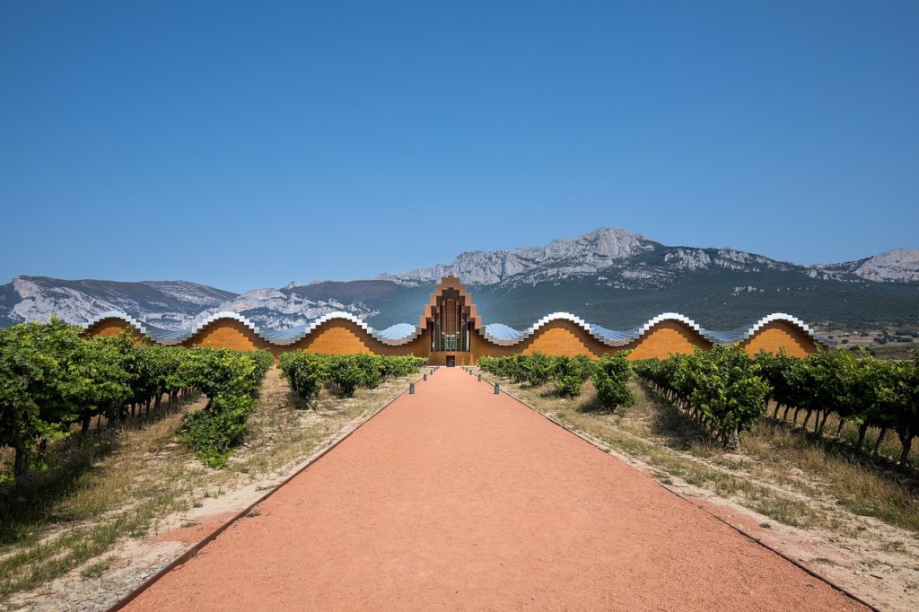 vignoble rioja