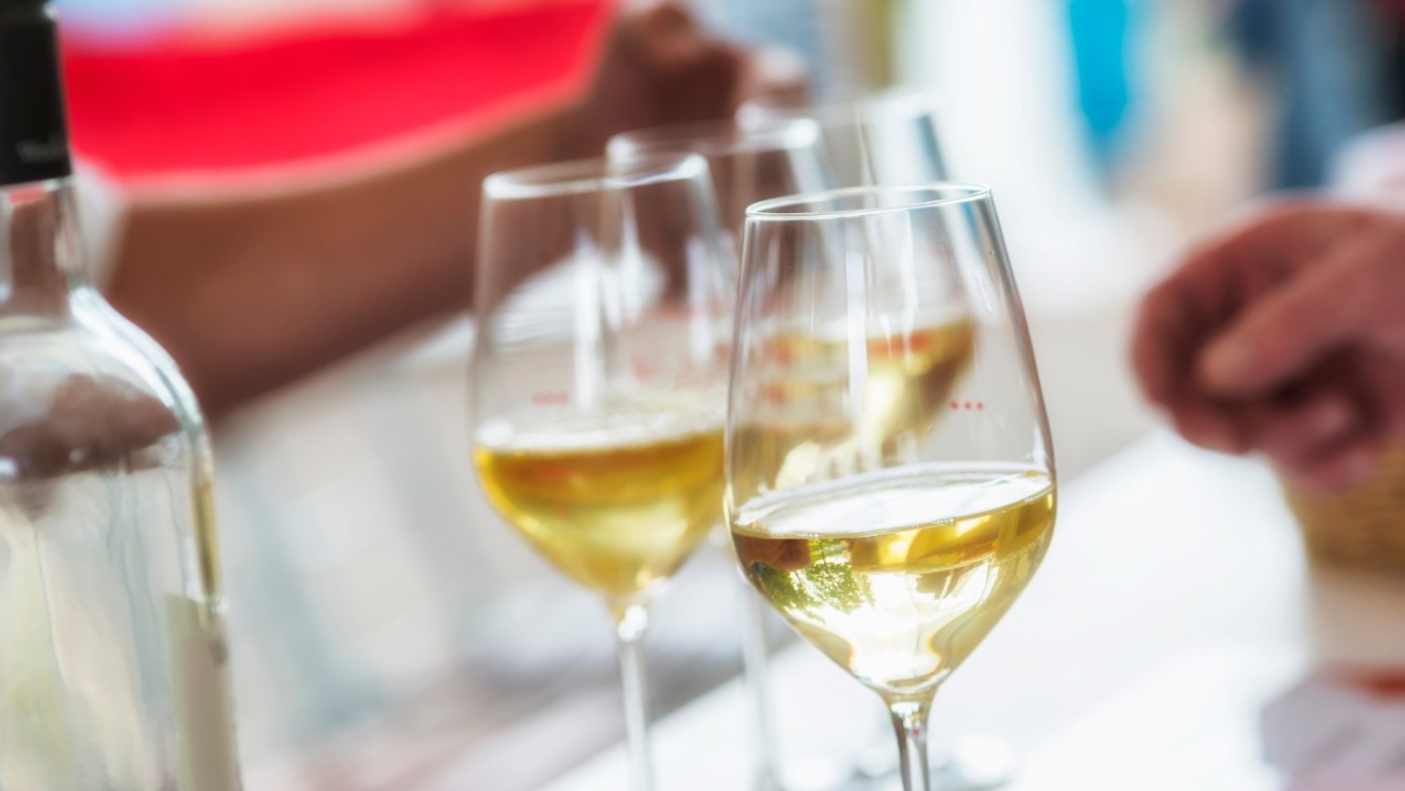 Cépages nobles – Riesling, l’élégance du vin d’exception - Vinho ...